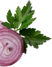 Onion Image